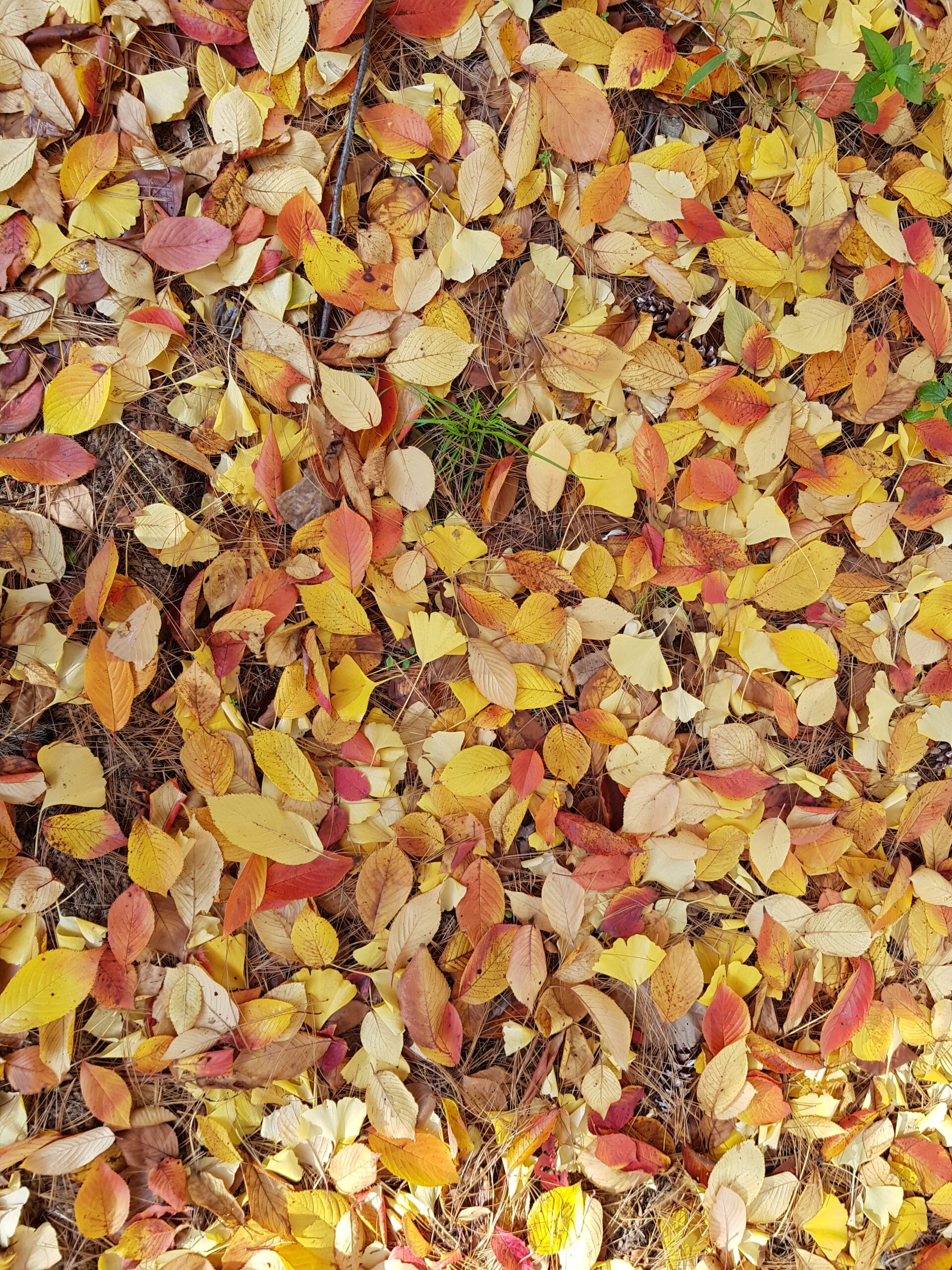 순환 : Sirculation